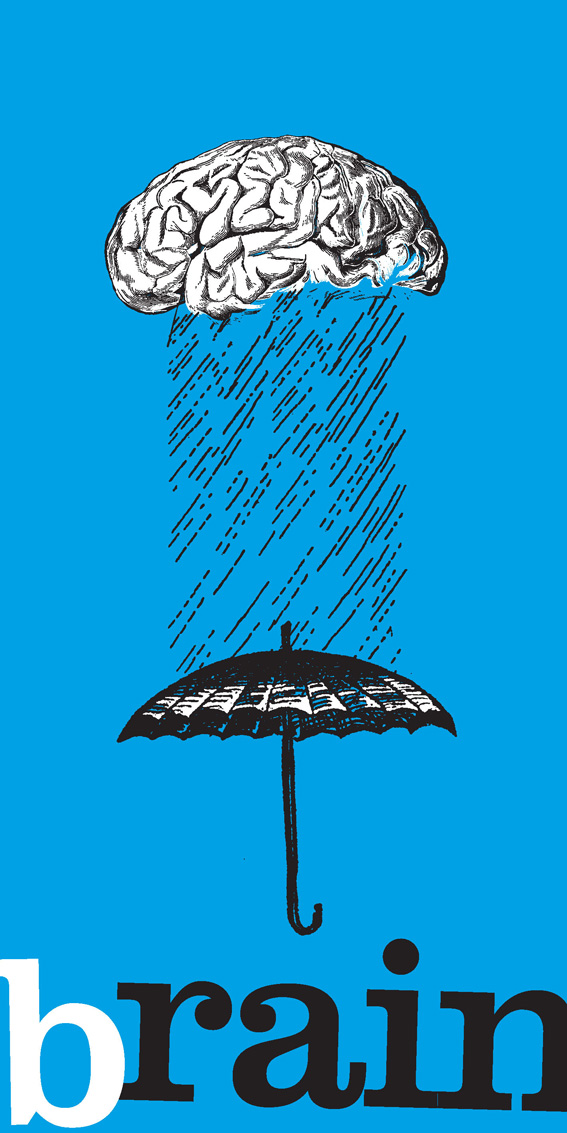 brain
